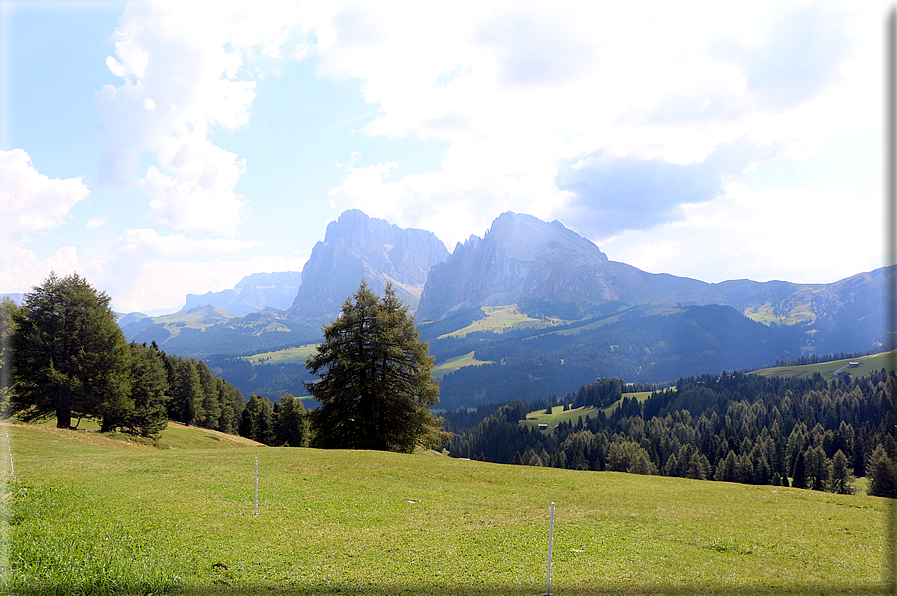 foto Alpe di Siusi